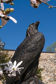 The AU eagle statue.